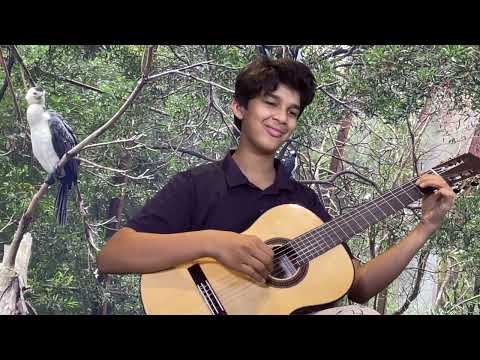 Vals - Bartolomé Calatayud | Classical Guitar Cover by Ryan Lobo