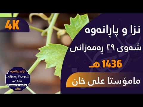 نزا و پاڕانەوەیەکی پڕ لەگریان شەوی [ 29 ] ڕەمەزانی 1436ھـ | مامۆستا علی خان | مزگەوتی قازی محمد