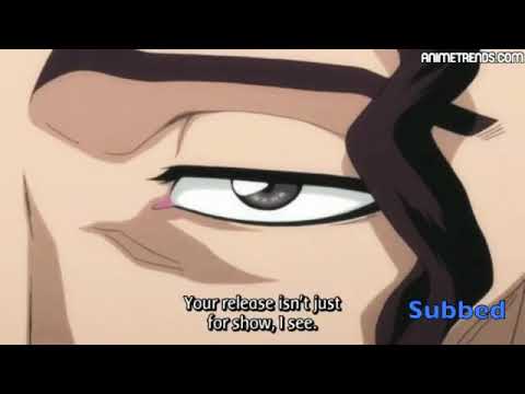 Bleach - Shunsui Kyoraku's Shunpo vs Coyote Starrk's Cero.