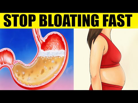 How to Stop BLOATING Fast / Learn the 5 Causes