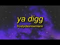 FrostyDaSnowMann - Ya Digg (TikTok Remix) Lyrics | you gon choose me baby ya dig