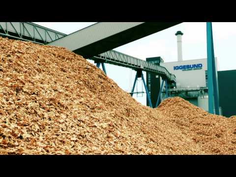 A Lakeland Celebration in Workington