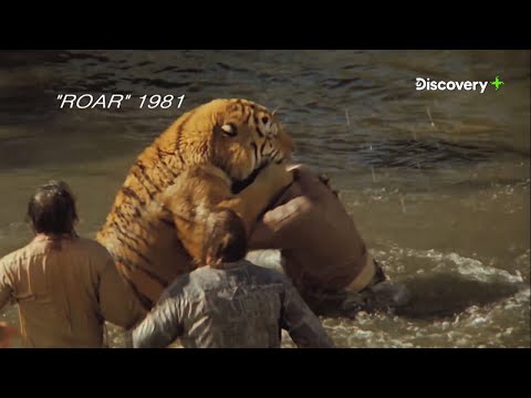 Roar The Most Dangerous Movie Ever Made | Now Streaming on Discovery Plus App