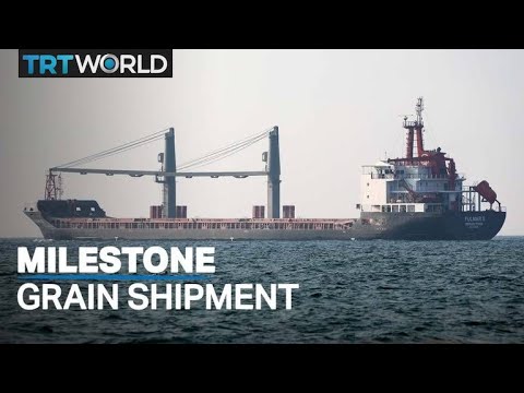 1M tonnes of agricultural produce shipped from Ukraine