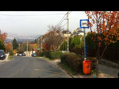 Budapest 250-es járat; Savoya Park - Kelenföld vasútállomás M