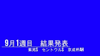 2019年9月1週目　結果