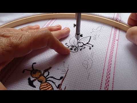 Formigas bordadas, veja também sua importância pro nosso meio ambiente