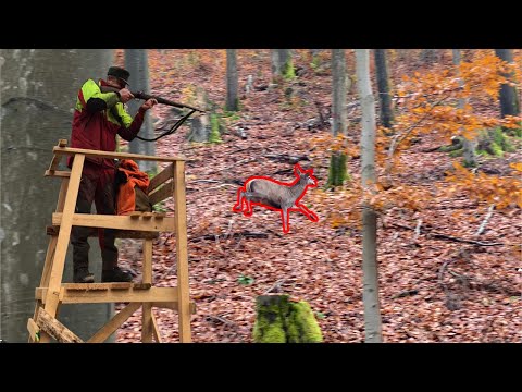 Rotwildjagd in Sonneberg 2021