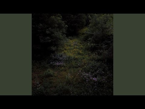 Video thumbnail for I Want to Start a Religion With You