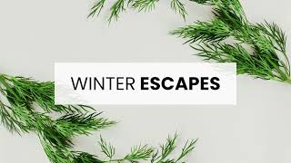 Winter Escapes