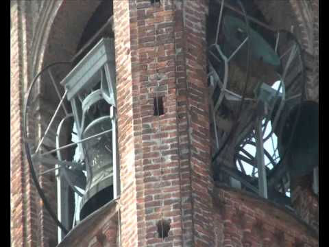 Campane di Racconigi (CN) - Chiesa di Santa Maria Maggiore