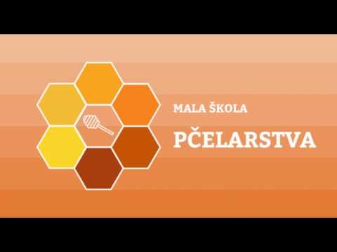 Boja meda ep.48 05.02.2019. - Dadan Blat košnica, pripreme za nastupajuću sezonu...