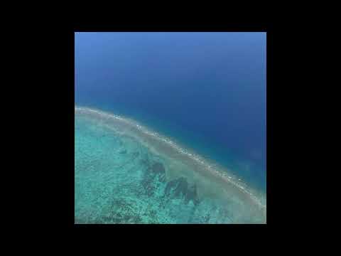 Ichiko Aoba - BGM at Orchard Hall (June 21th, 2021)