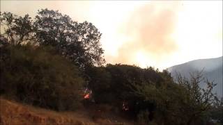 preview picture of video 'Lamentable incendio en Quebrada Escobares, Villa Alemana'