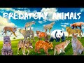 Predatory Animals Wild Animals Sounds Bear Lion Tiger Leopard Wolf 4K