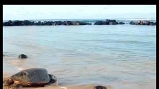 Florida Georgia Line- Island (Fan Music Video)