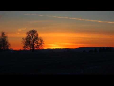 Yndi Halda - Together These Leaves