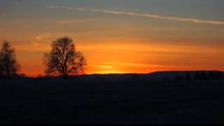 Yndi Halda - Together These Leaves