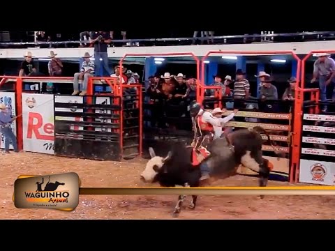 Waguinho Animal - Montarias em touro 23/04/16
