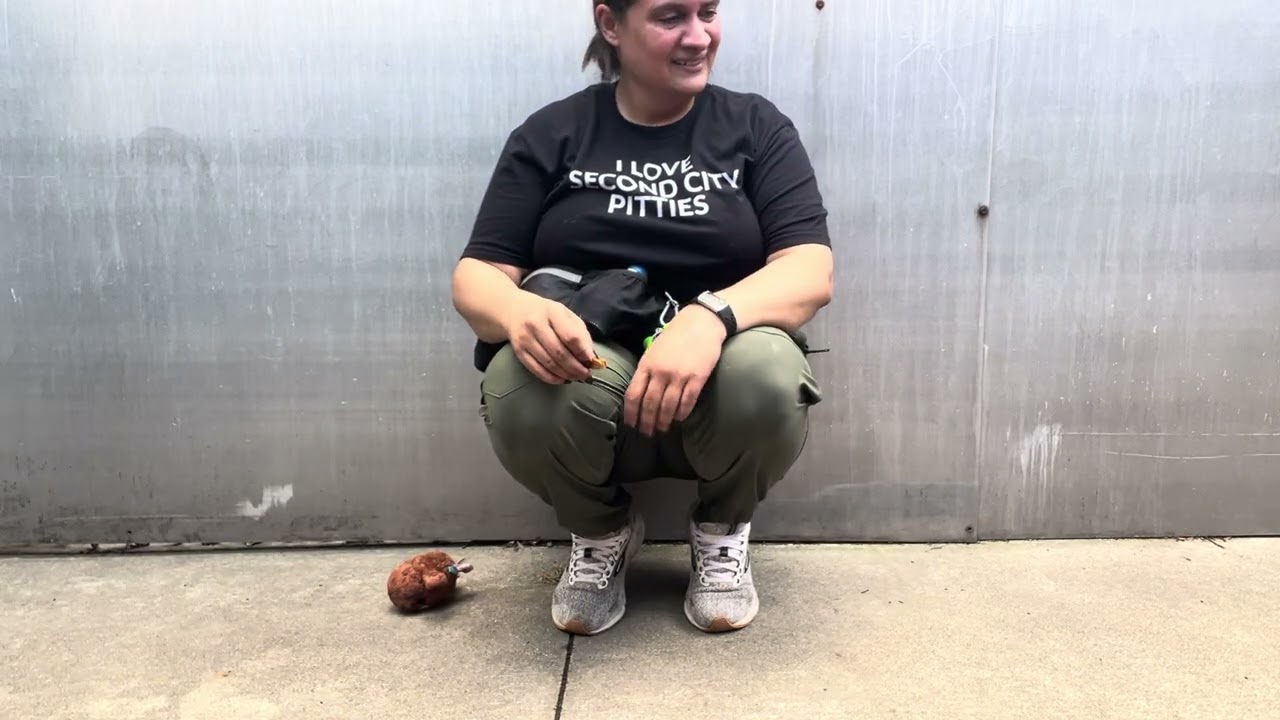 Esther video preview