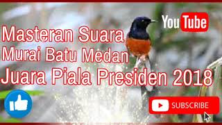 Download lagu Masteran Suara Burung Murai Batu Medan (Kitaro), Juara Piala Presiden 2018 mp3