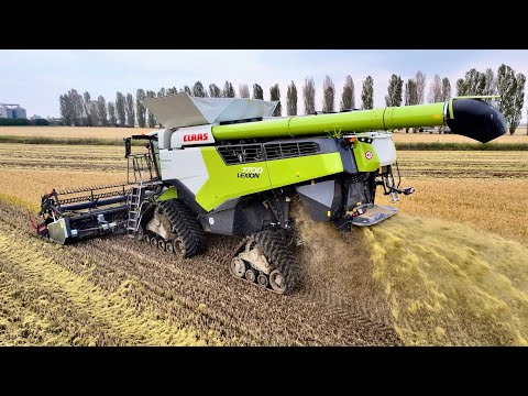 **TOP NEW** Claas Lexion 7700 Poluzzi-Track | Dominoni | AZ. FERTI-FLUID Srl