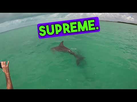 Tulum Quintana Roo I Sian Kaan TOP Things to do