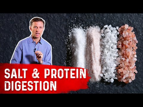 BILE What is BILE and Where is it Produced – Dr Berg