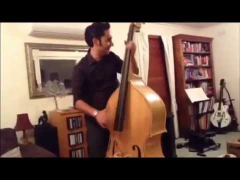 Please Mama Please - Go cat go - Double Bass Ben Pratt