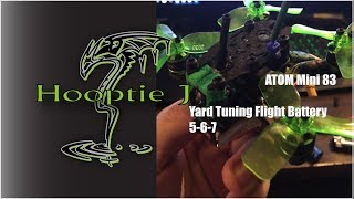 Atom mini 83:Flight Time