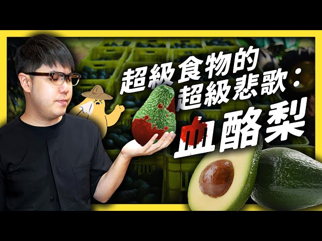 風靡網路的超級食物「酪梨」，竟然跟墨西哥毒梟很有關係？《食物知識大拼盤》EP003｜志祺七七