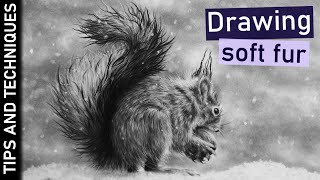 Squirrel drawing in graphite | The important stages of drawing realistic fur
