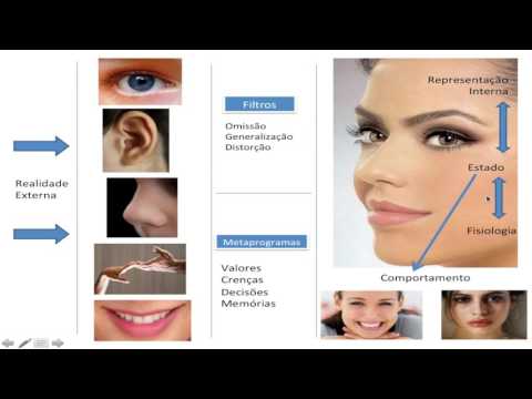Modulo 1 - Aula 1 - Curso Completo de PNL