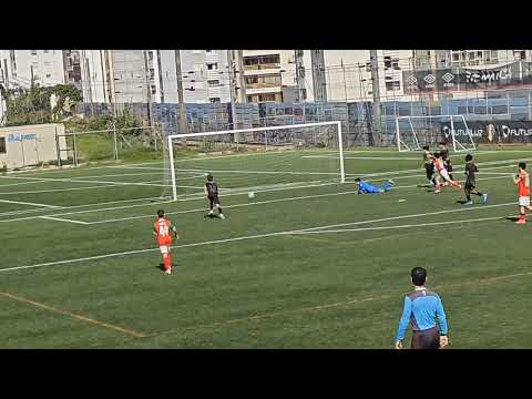 Defesas Martim Nunes 