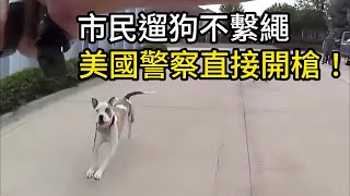 [問卦] 台灣為何遇到蹓狗不繫繩不開槍