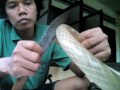 Cara Buat Lekar Sarang Racik Burung Wak Wak Pakai Selang Air Bekas