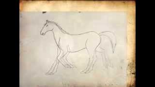 Horse Animation 2D feat. Game of Thrones(Western Cover)