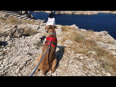 Pag Island Dalmatia Croatia | Travel Vlog #travel#food#short #video#recipe#love#vlog