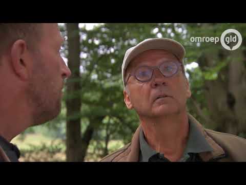 BuitenGewoon 12 augustus 2017 - Harm zwerft door Gelderland | Staverden