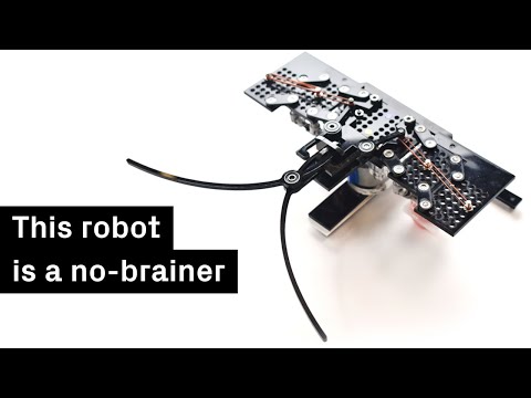 A robot that runs on rubber bands only
