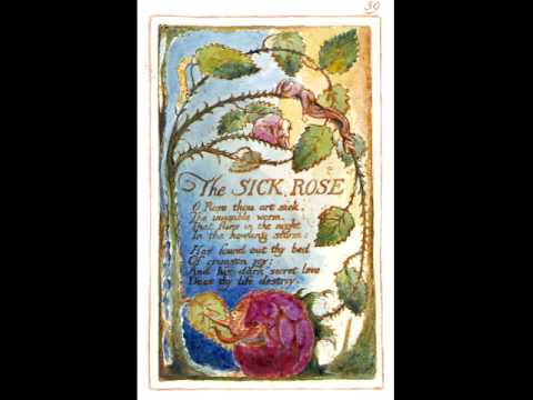Paul Howard & Jo Clack - The Sick Rose