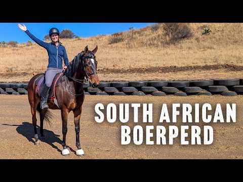 Riding and Driving the SA Boerperd in South Africa!