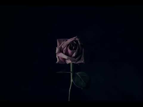 Kanishk Rathore / Kaise batayein tumhe