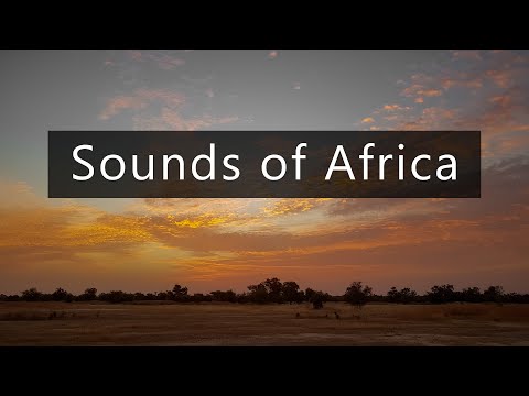 Calm night in the Sahel - Nature sounds