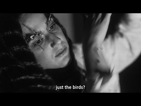 Josienne Clarke - The Birds (Official Video)