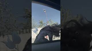 Wait What!? #shorts #viral #bonkers #staplegun