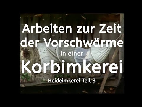 Arbeiten zur Zeit der Vorschwärme in einer Korbimkerei | Heideimkerei Teil 3 | Imker | Bienen
