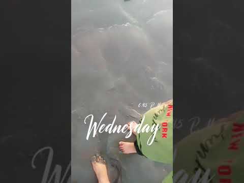 civeo ayan na enjoy kia bht Sara🥰