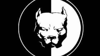 RELEASE THE DOGS - FT HILLZEE - MONTANA - MILLY - SHEADOG