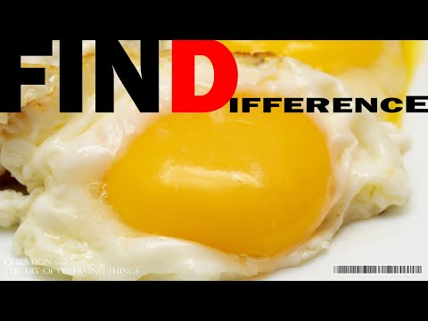 What's the difference? ep041. fried egg